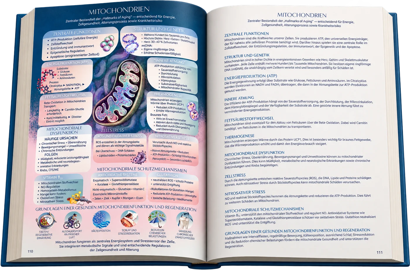 Biologische Intelligenz, das Buch